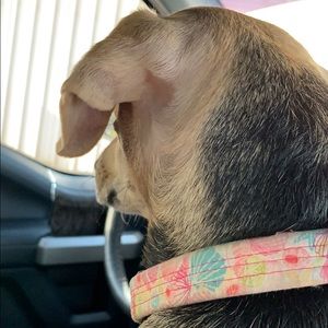 Meet your Posher, Jamie